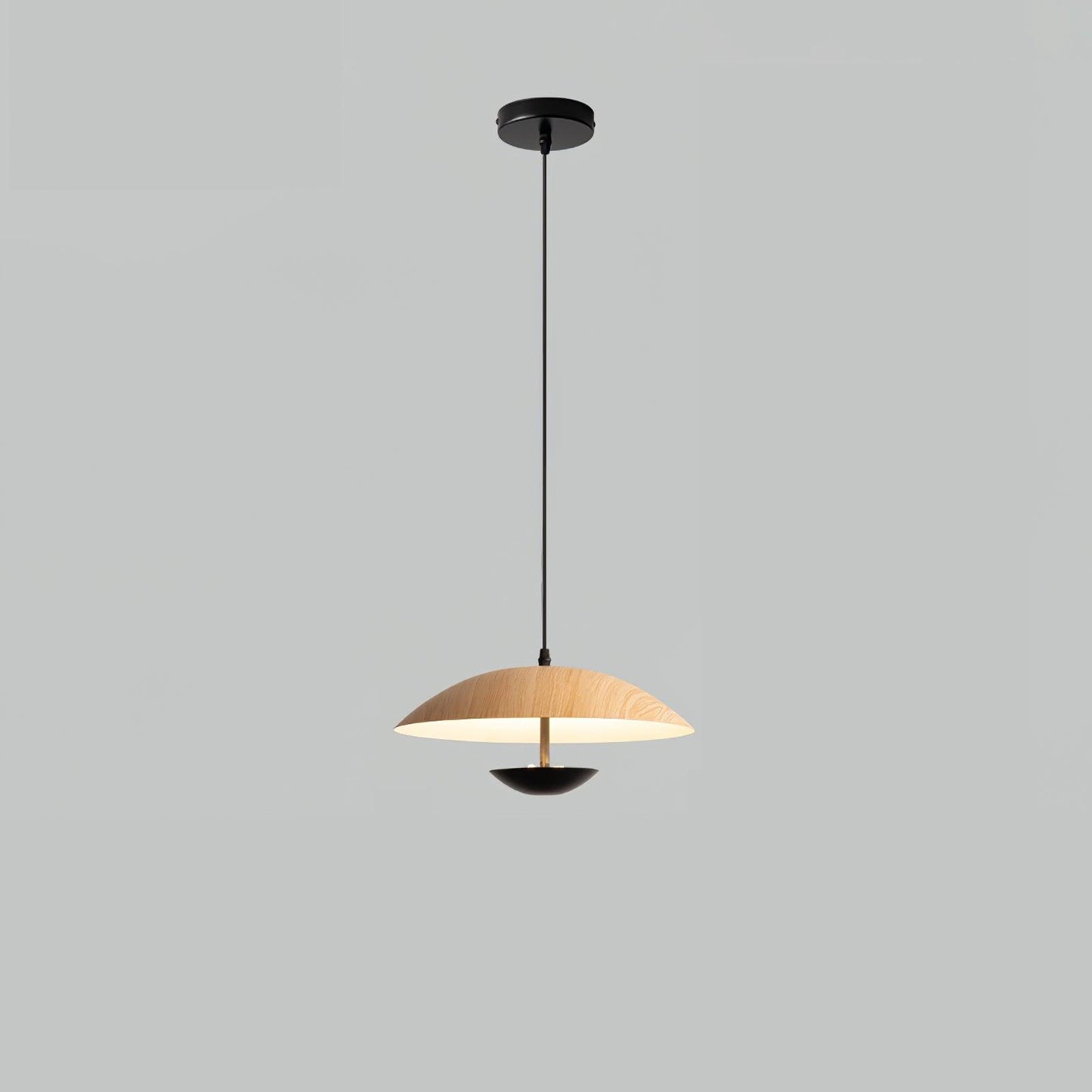 Frisbee Hanging light Pendant Lamp