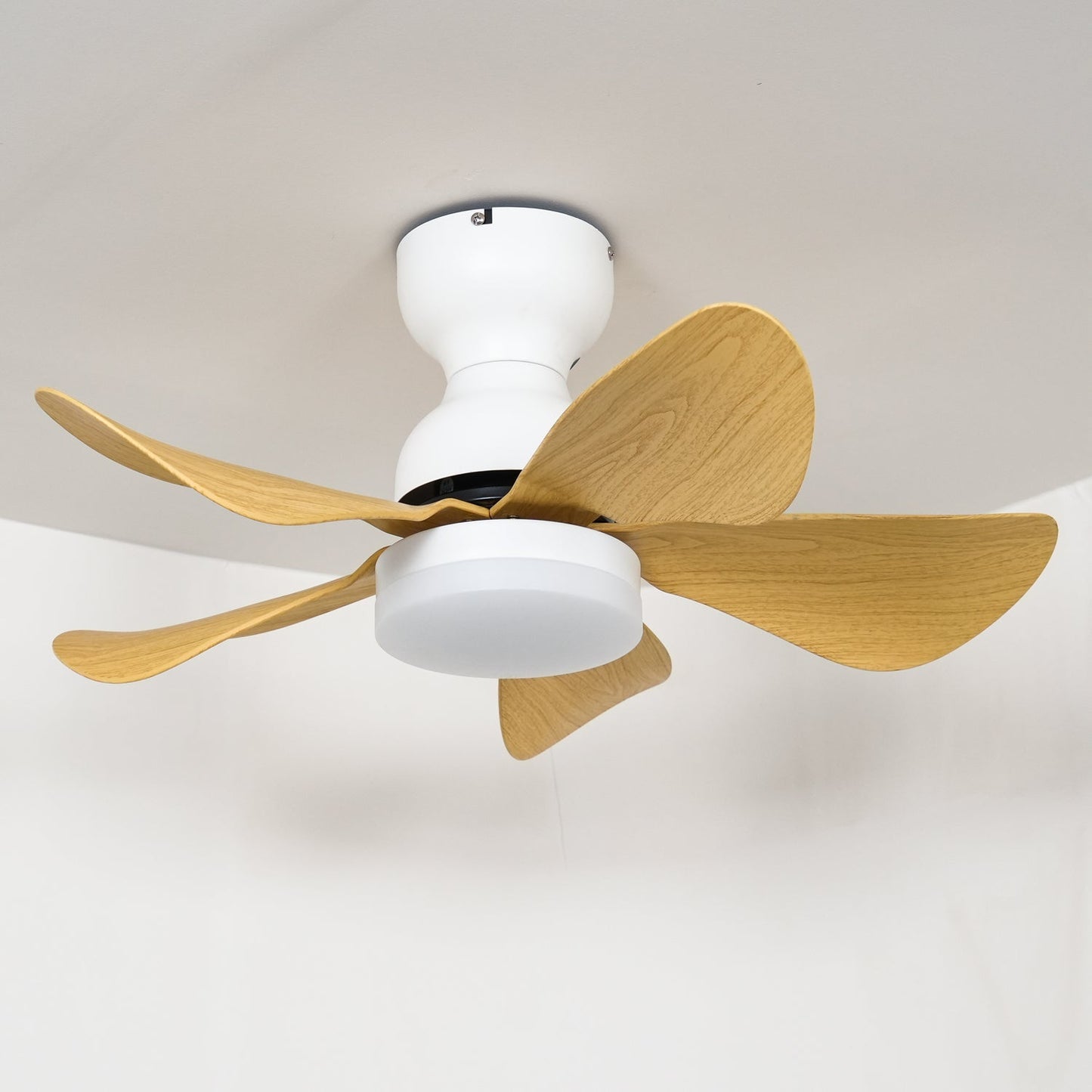 Small Arilia 29" Overhead fixture Ceiling Fan Light