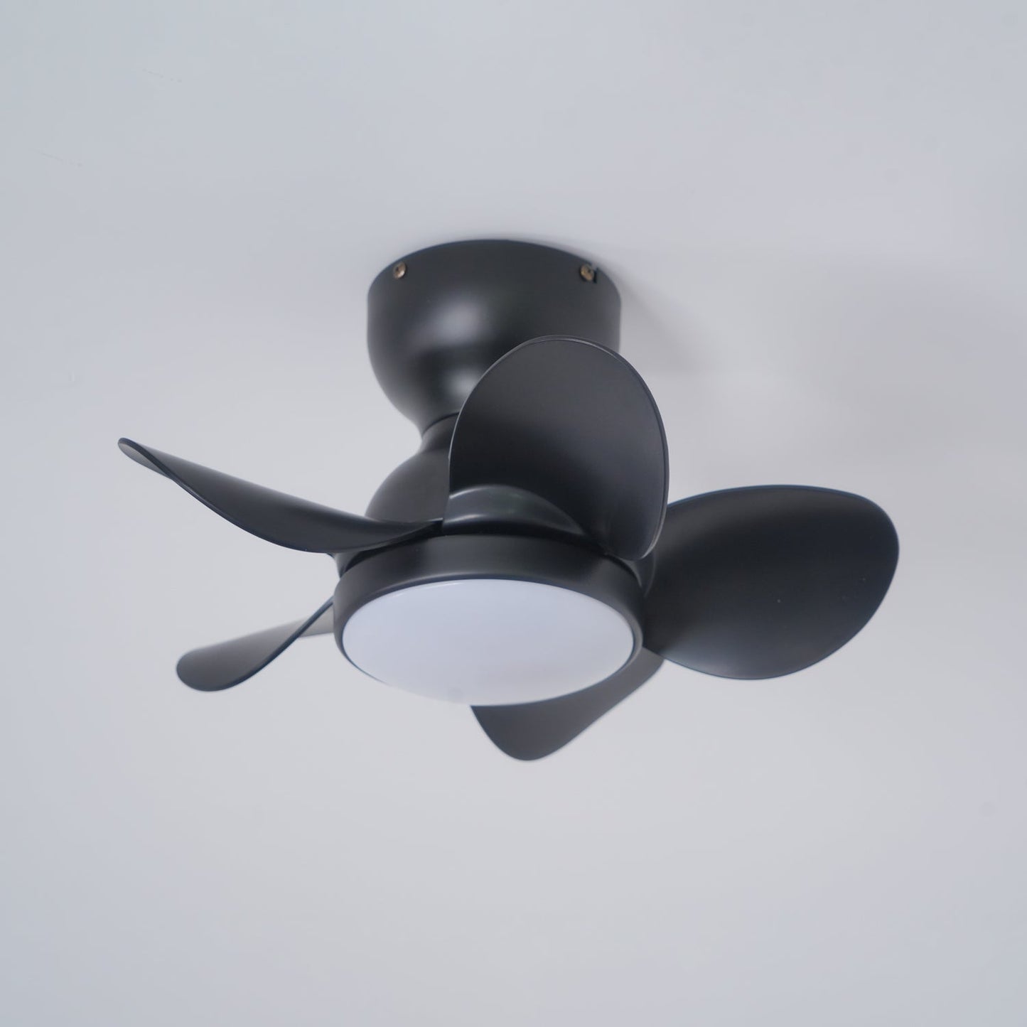 Trailblazer 18" Overhead fixture Ceiling Fan Light