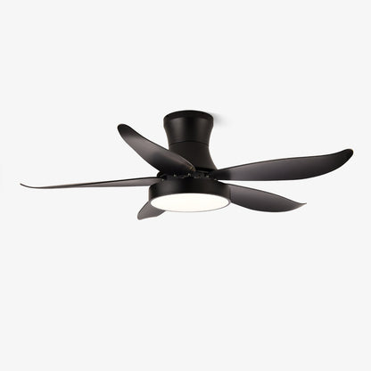Zephyr Noir Ceiling Fan Light