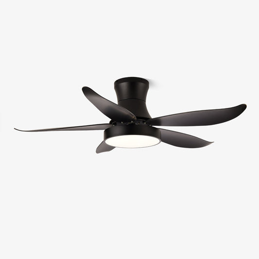 Zephyr Noir Ceiling Fan Light