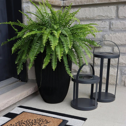 Nuvoro Lantern Outdoor Light