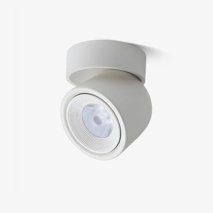 Clara Rotating Surface Downlight