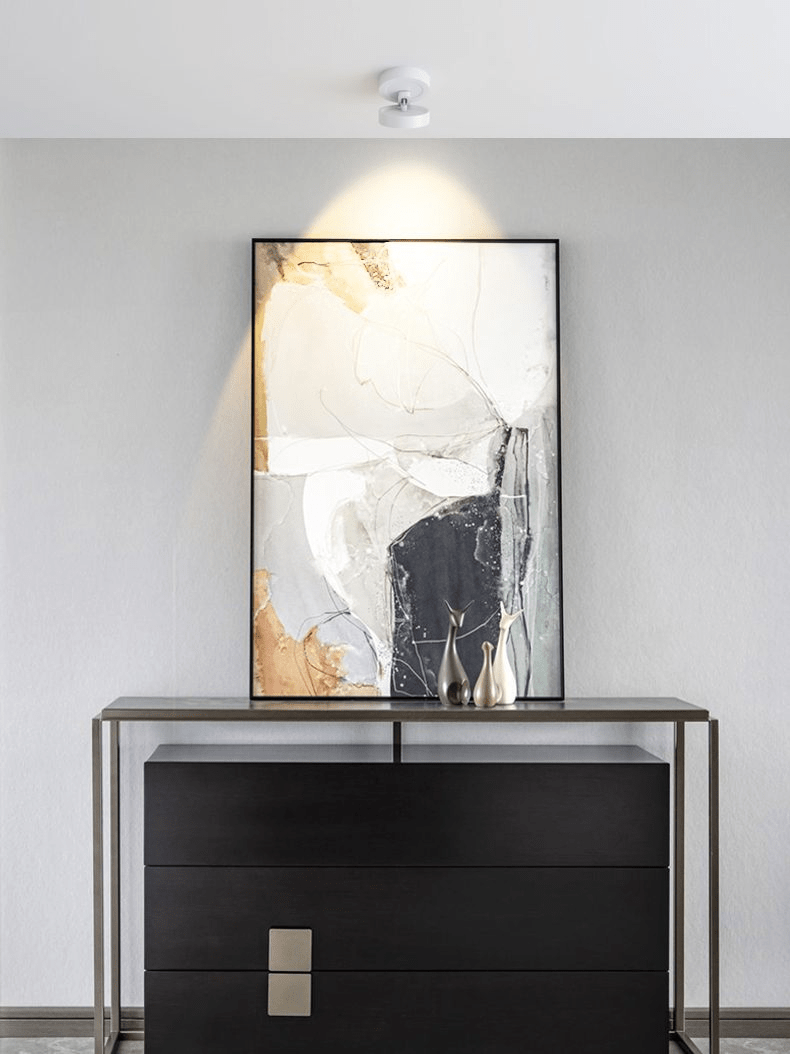 Round Rotating LED Downlight