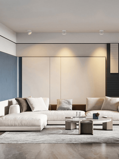 Round Rotating LED Downlight