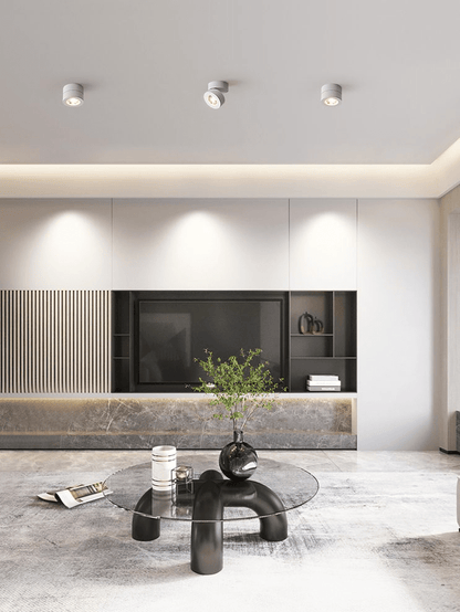 Round Rotating LED Downlight