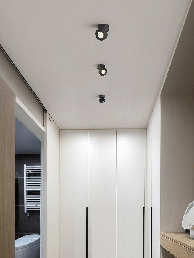 Round Rotating LED Downlight