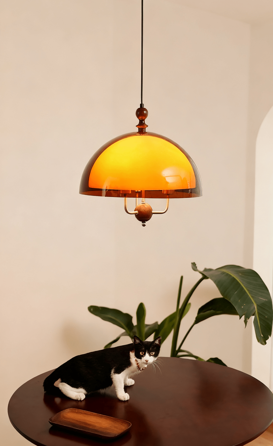 Amber Dome Shaped Pendant Light