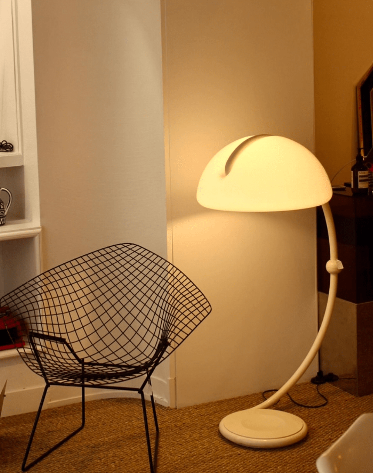 Arc Dome Floor Lamp