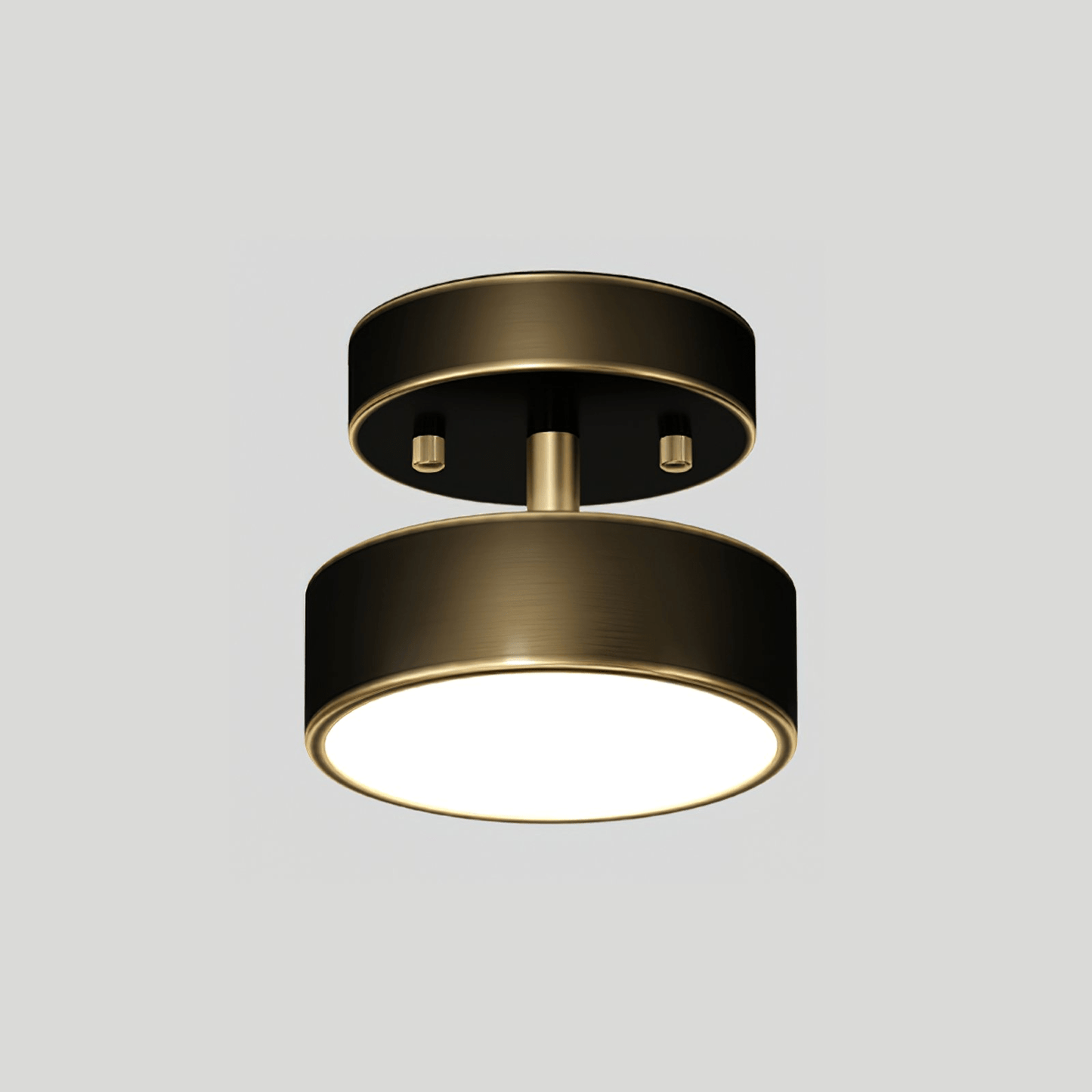 Meridian Rotatable LED Ceiling Light