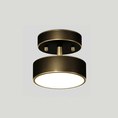 Meridian Rotatable LED Ceiling Light