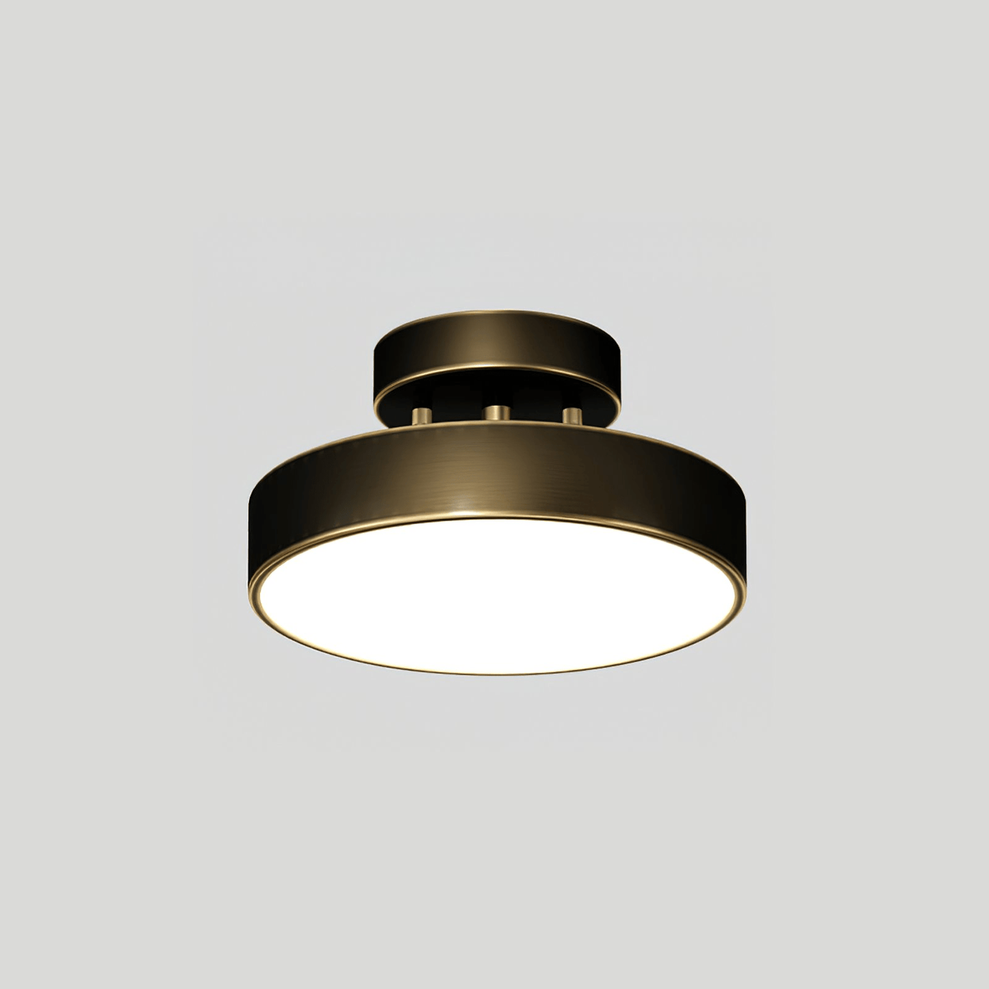 Meridian Rotatable LED Ceiling Light