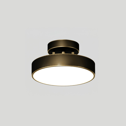 Meridian Rotatable LED Ceiling Light