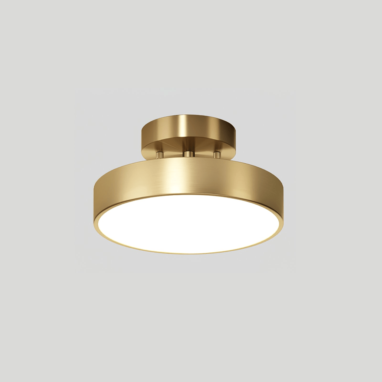 Meridian Rotatable LED Ceiling Light