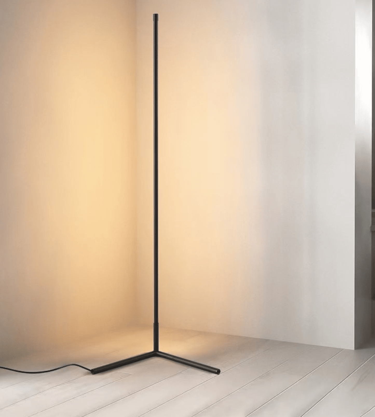 Minimalist LED Floor Lamp
