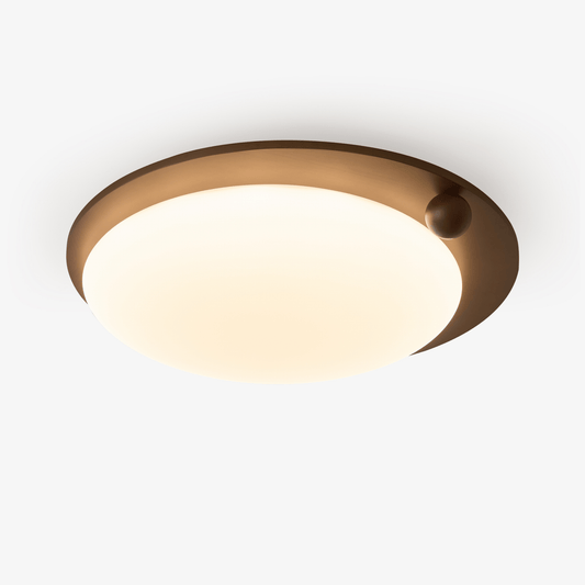 Wood Accent Ceiling Light