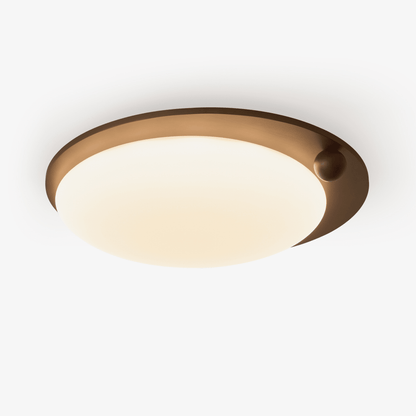 Wood Accent Ceiling Light