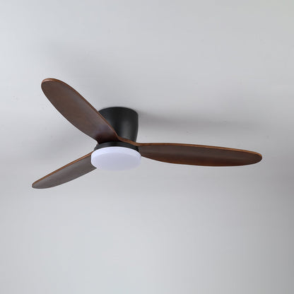 Nocturnus Ceiling Fan Light