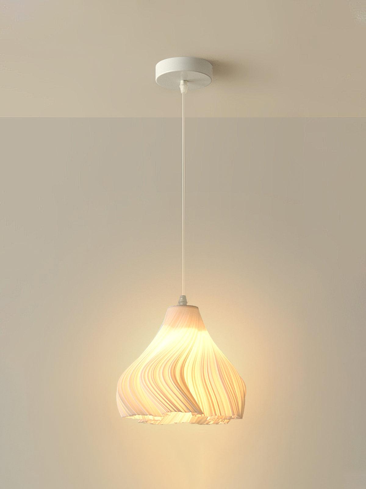 Printing Art Hanging light Pendant Light