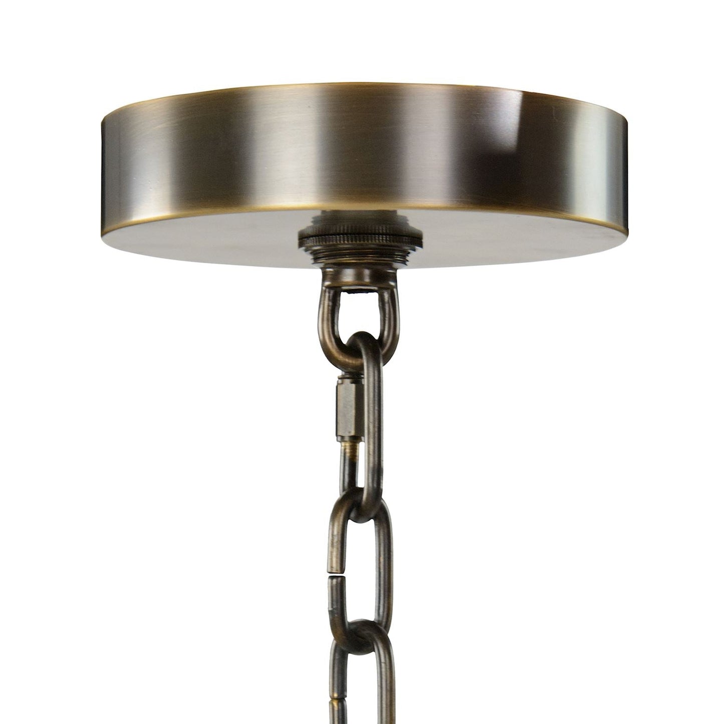 John Richard Churippu Magnolia & Tulip Glass Bronze Vertical Twenty-One Light Chandelier