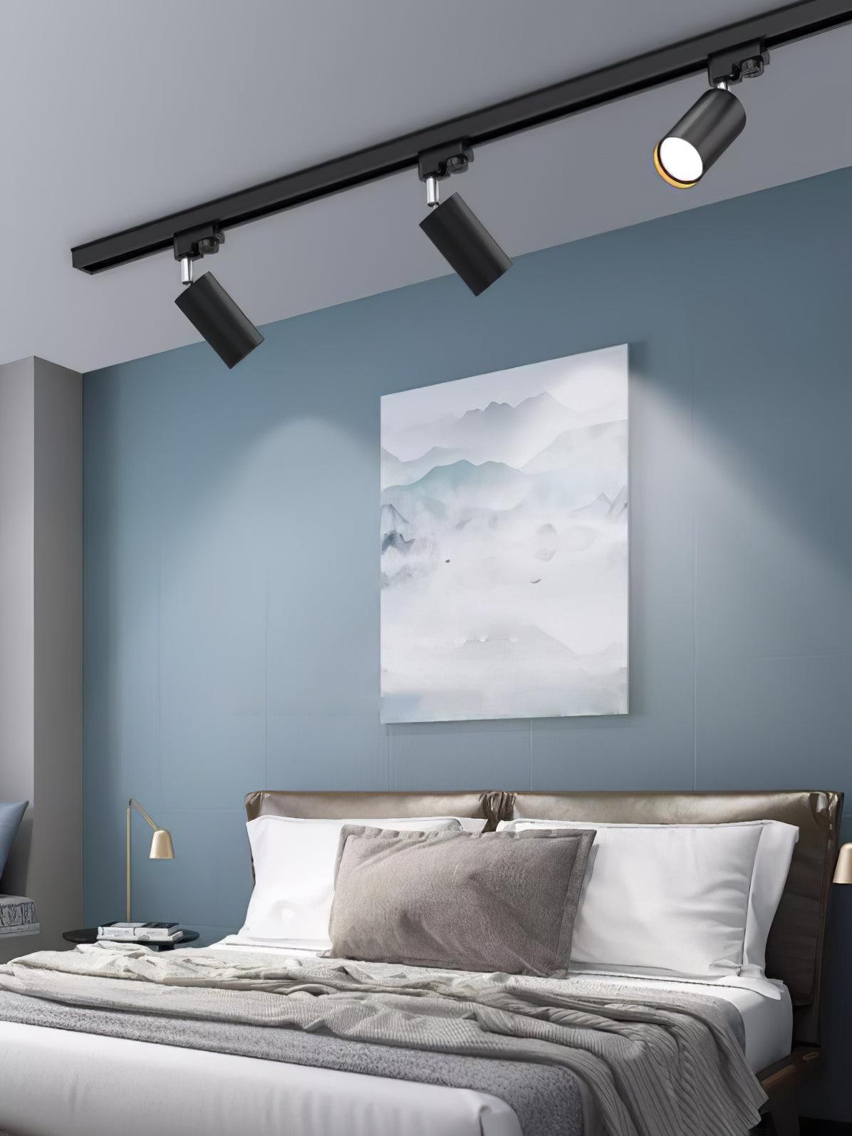 Adjustable Spotlight Track Ceiling Light