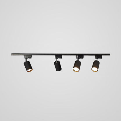 Adjustable Spotlight Track Ceiling Light