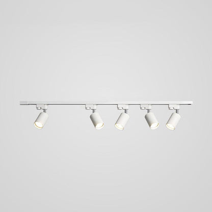 Adjustable Spotlight Track Ceiling Light