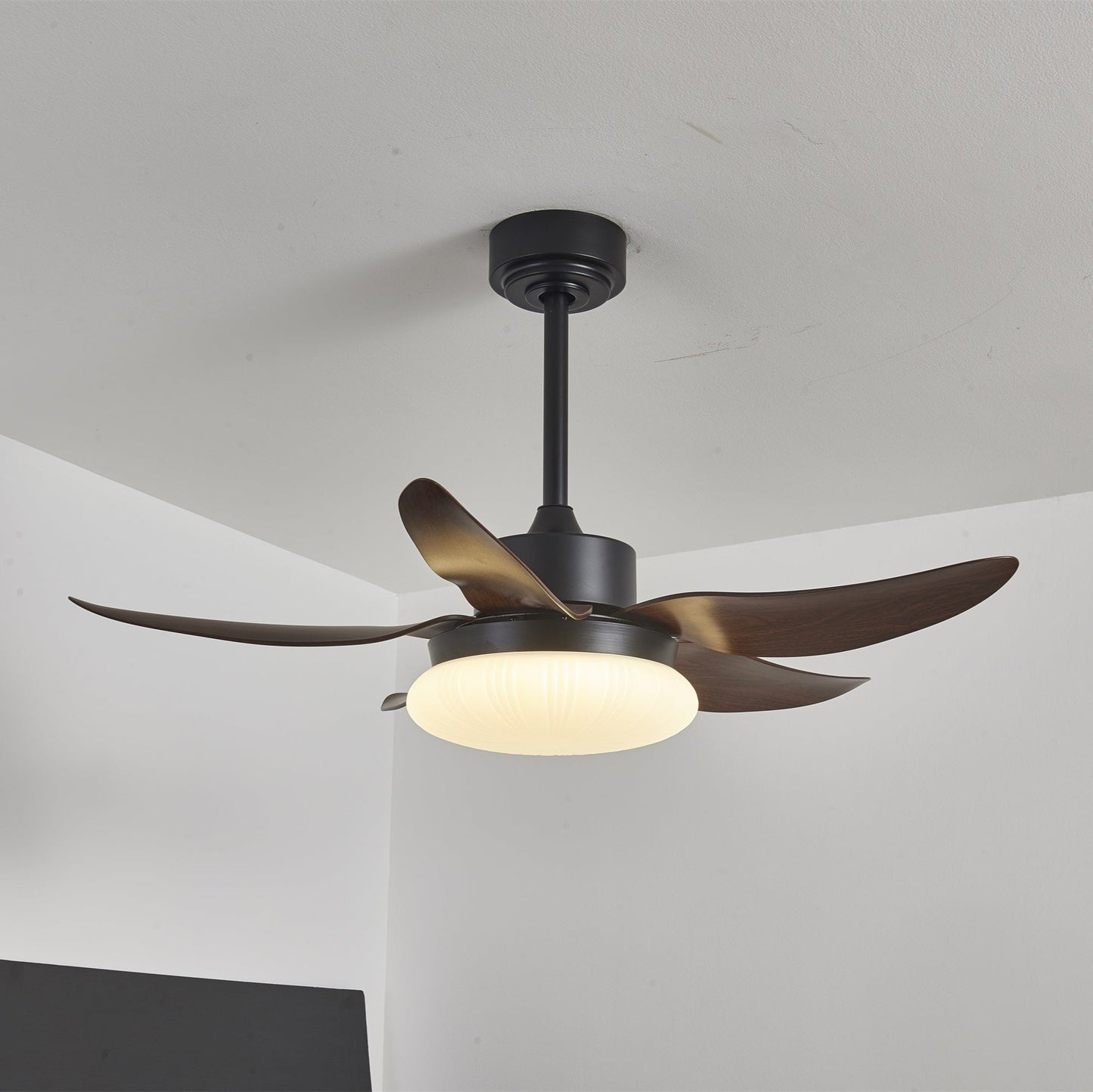 Aero Palm Ceiling Fan Light