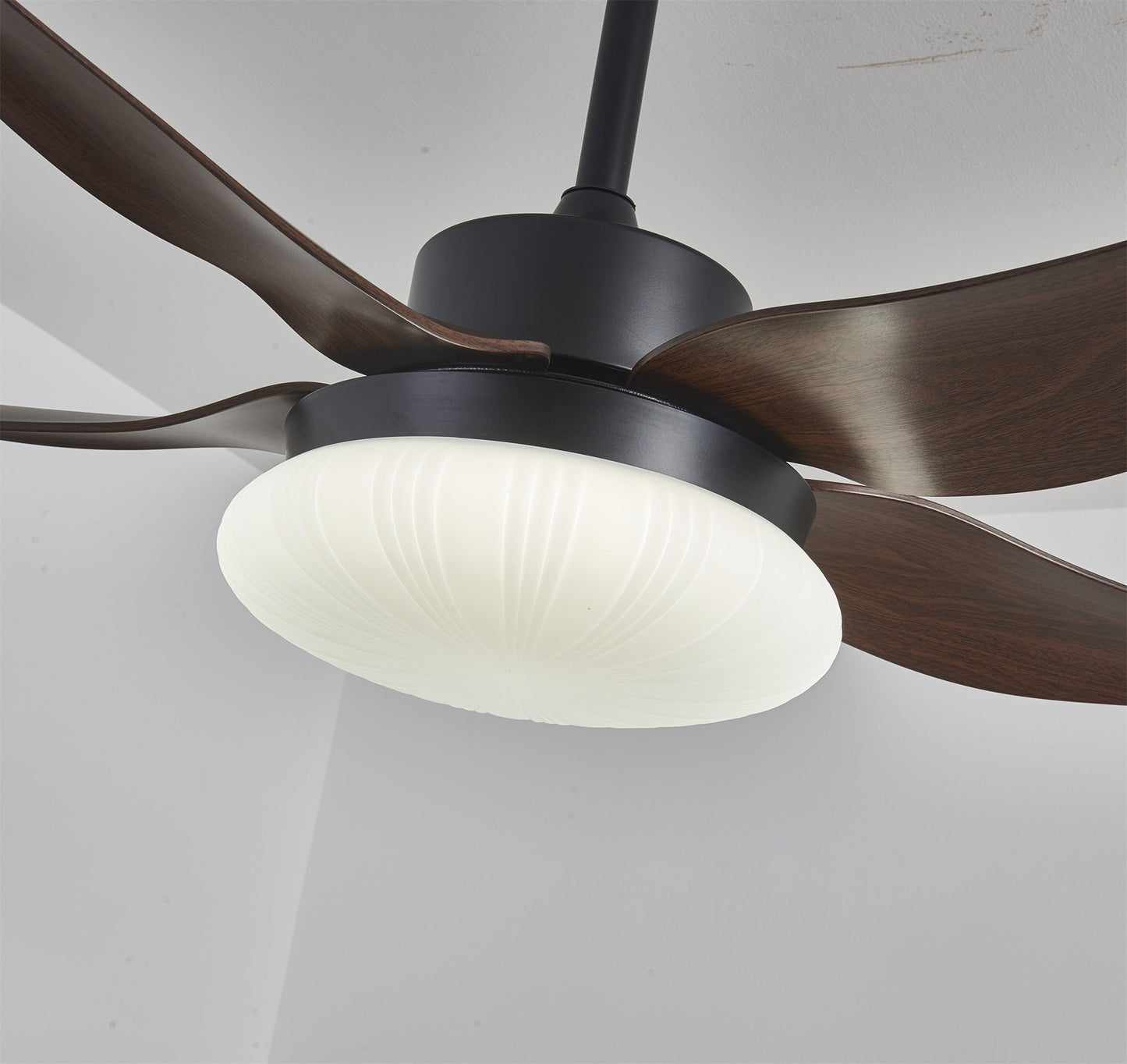 Aero Palm Ceiling Fan Light