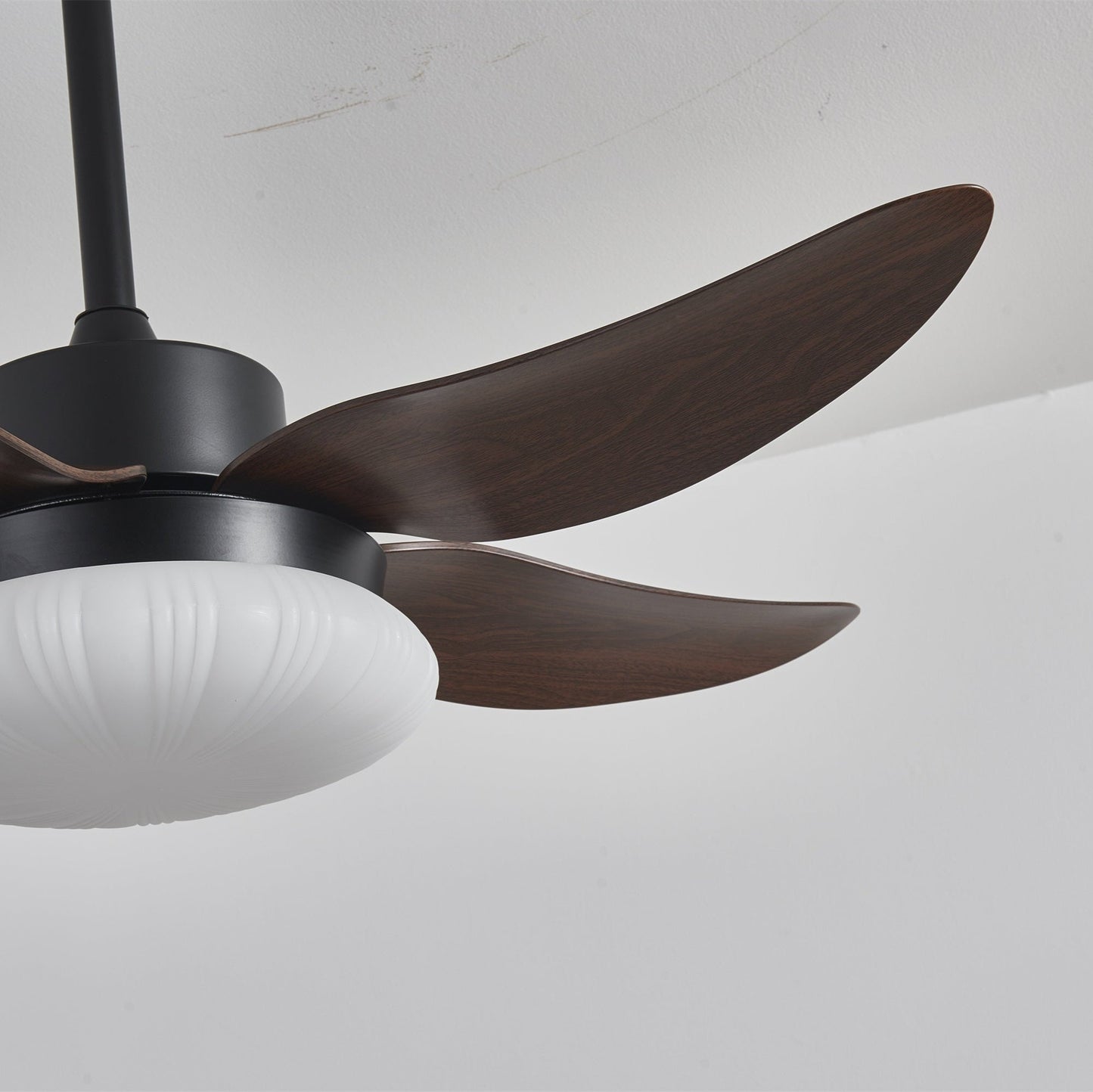 Aero Palm Ceiling Fan Light