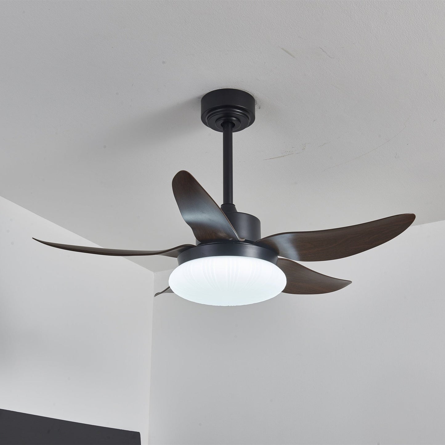 Aero Palm Ceiling Fan Light