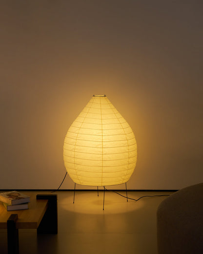 Washi Paper Lantern Floor Lamp