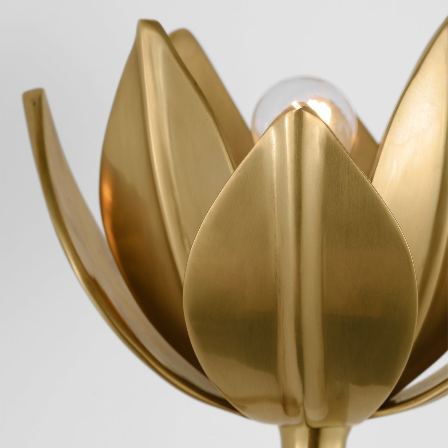 Alberto Lotus Bloom Wall Lamp