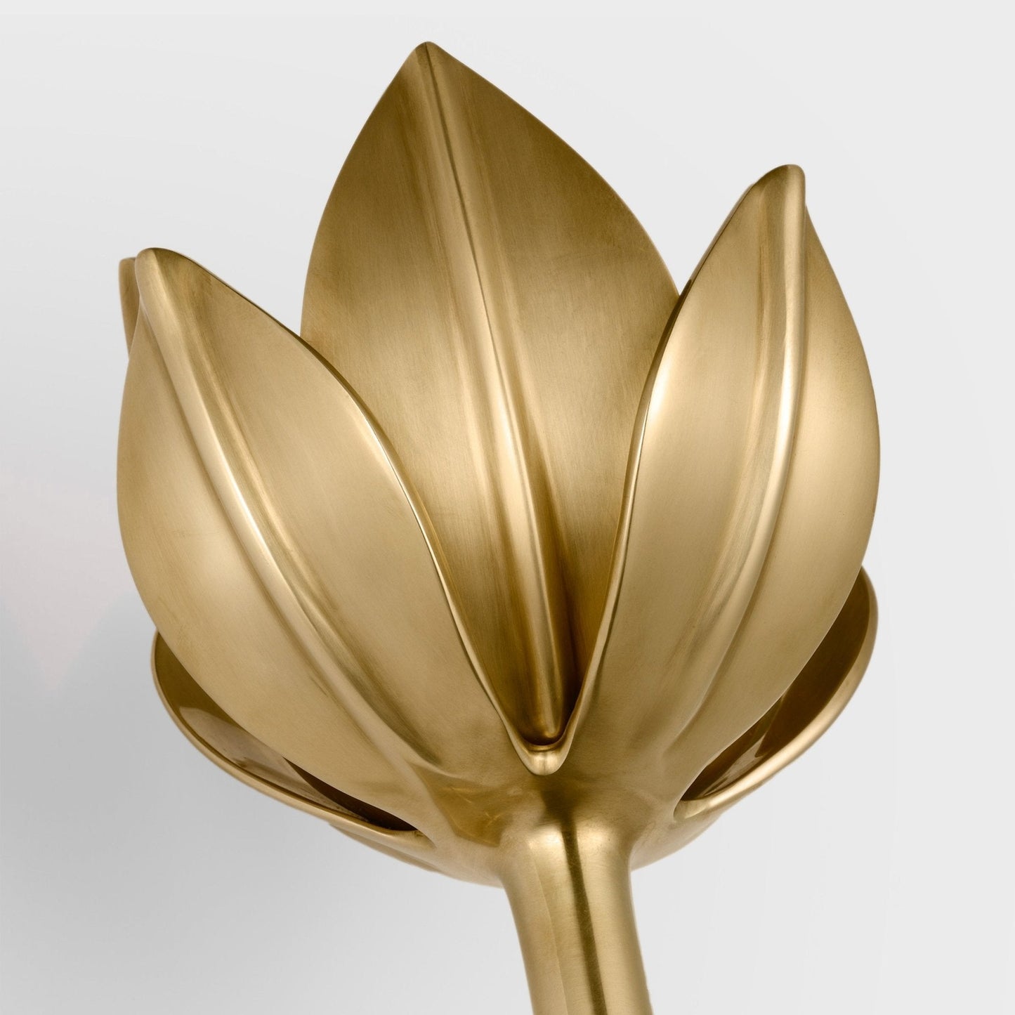 Alberto Lotus Bloom Wall Lamp