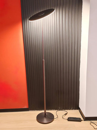 Ambra LED Floor Lamp