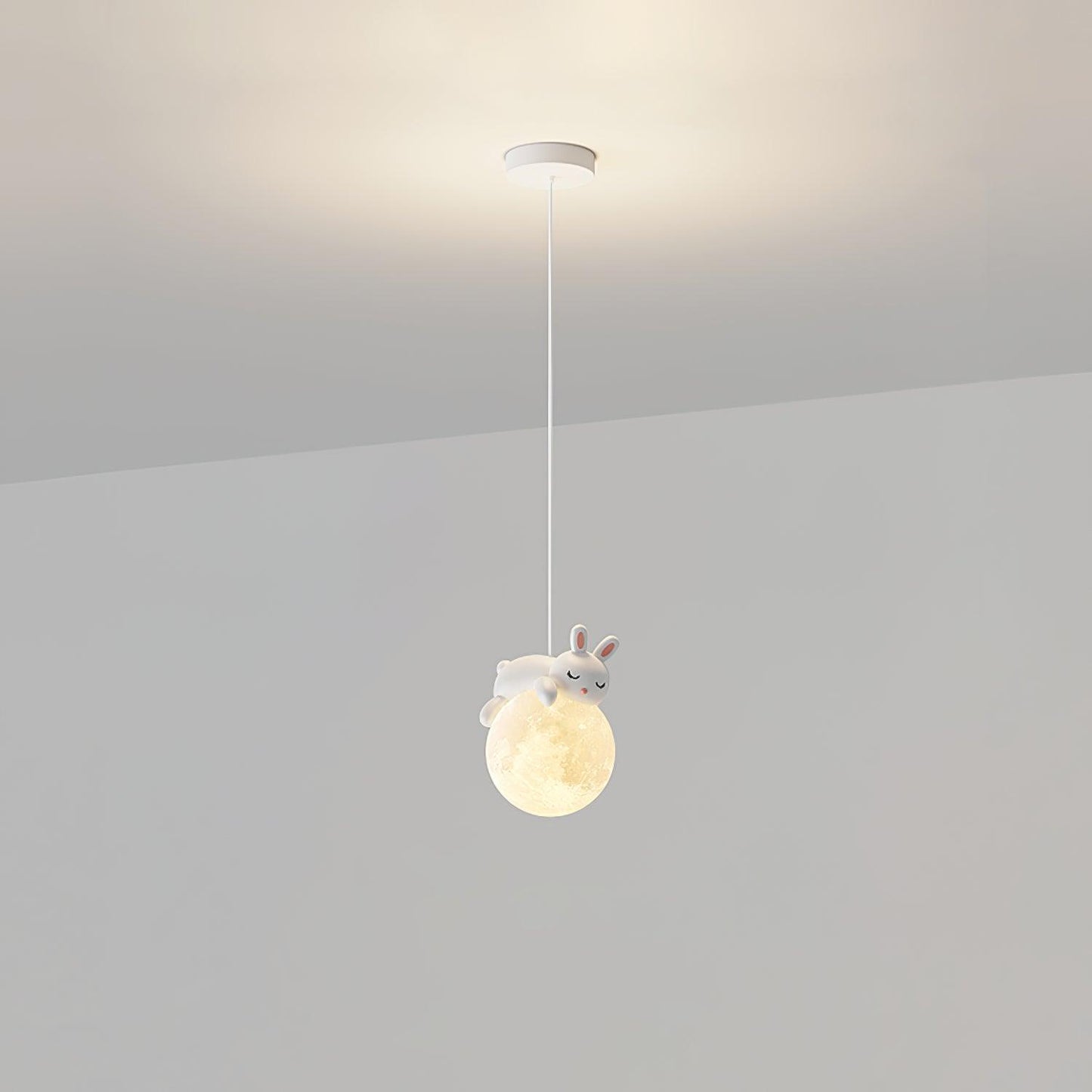 Animal Sleeping Pendant Lamp
