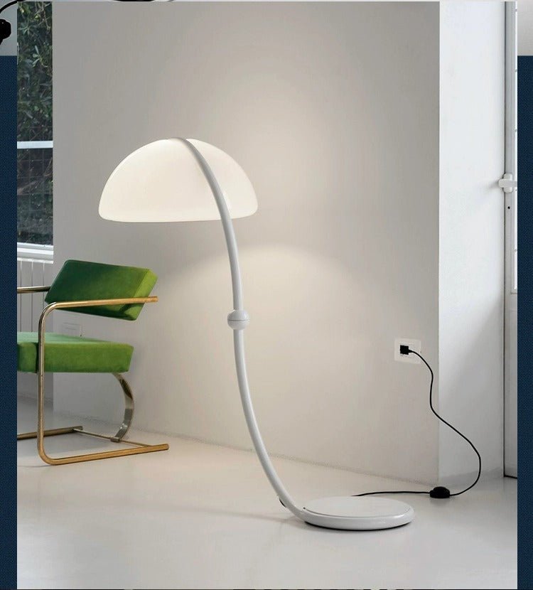 Arc Dome Floor Lamp