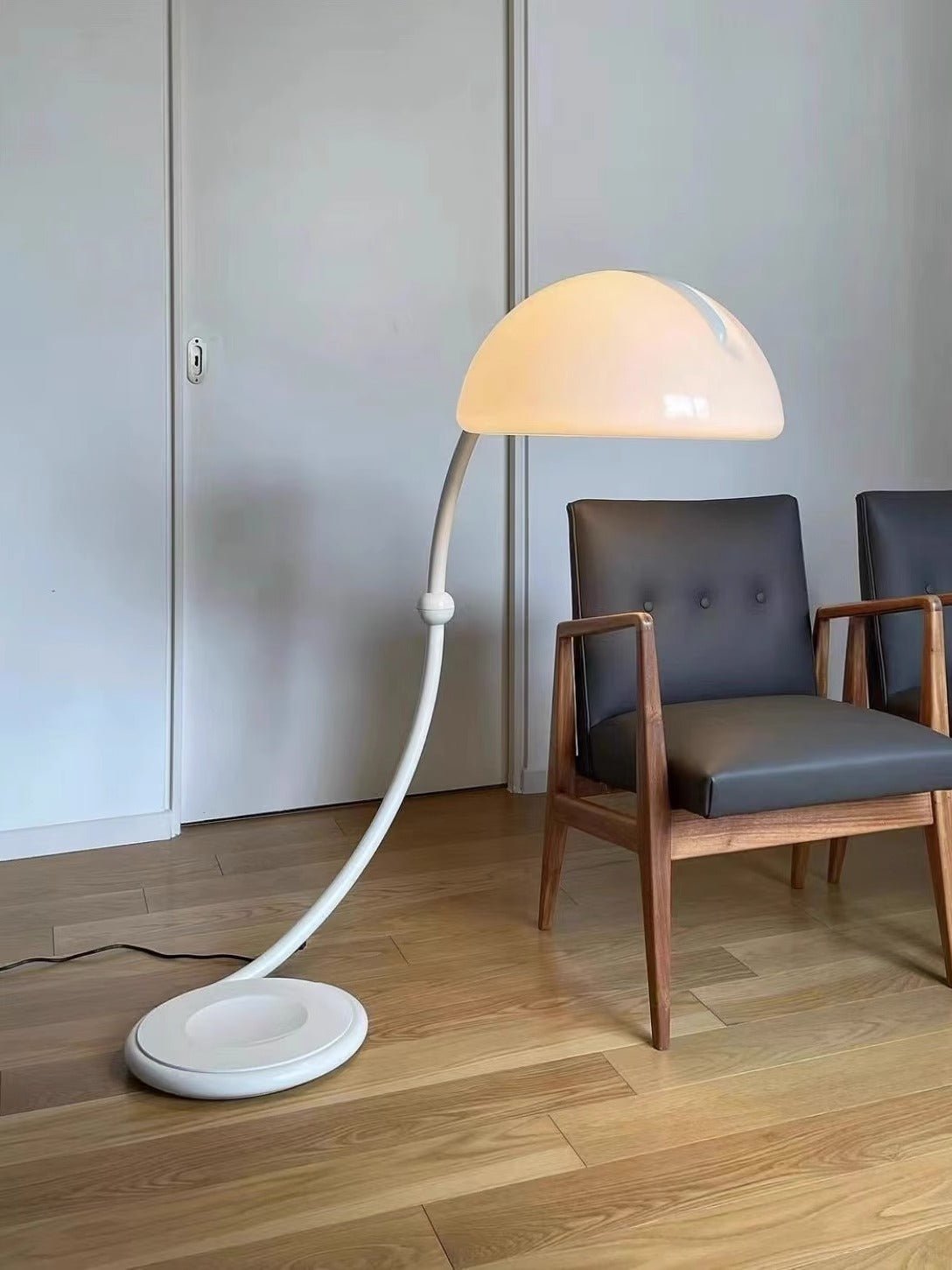 Arc Dome Floor Lamp
