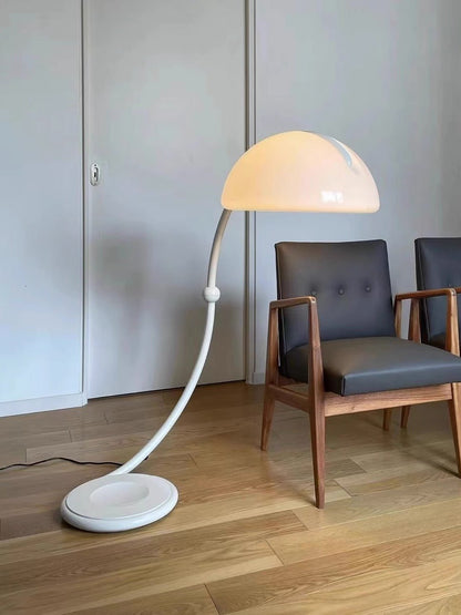 Arc Dome Floor Lamp