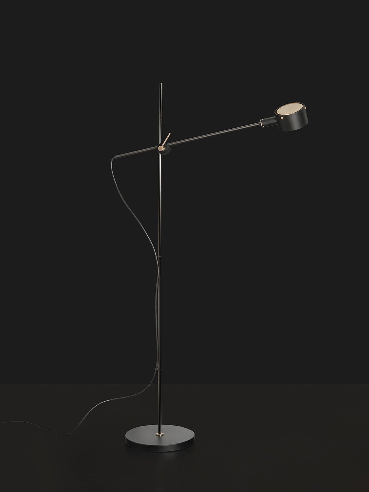 Arclen Adjustable Floor Lamp