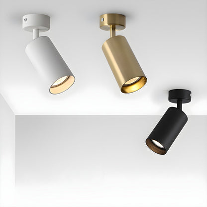 Arlo Accent Spotlight