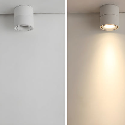 Artemis Surface Downlight