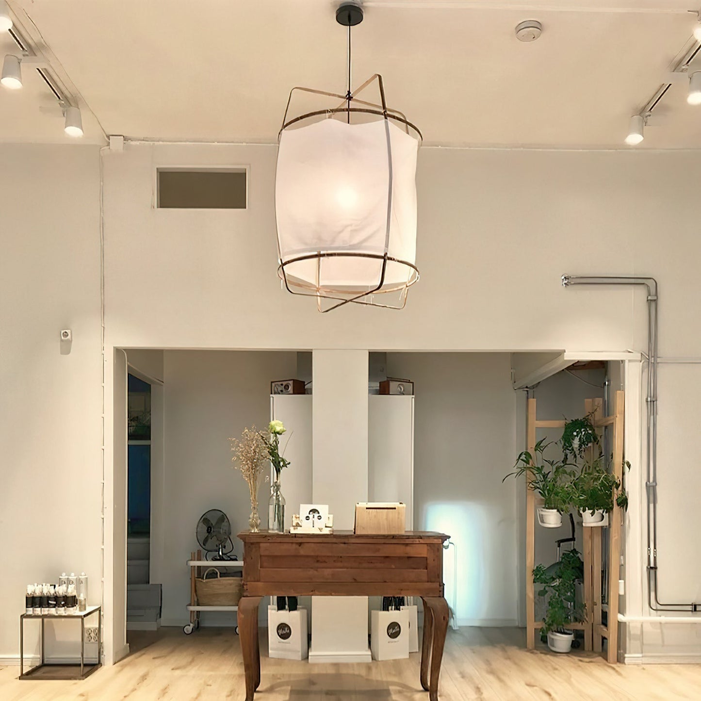 Ay illuminate Pendant Light