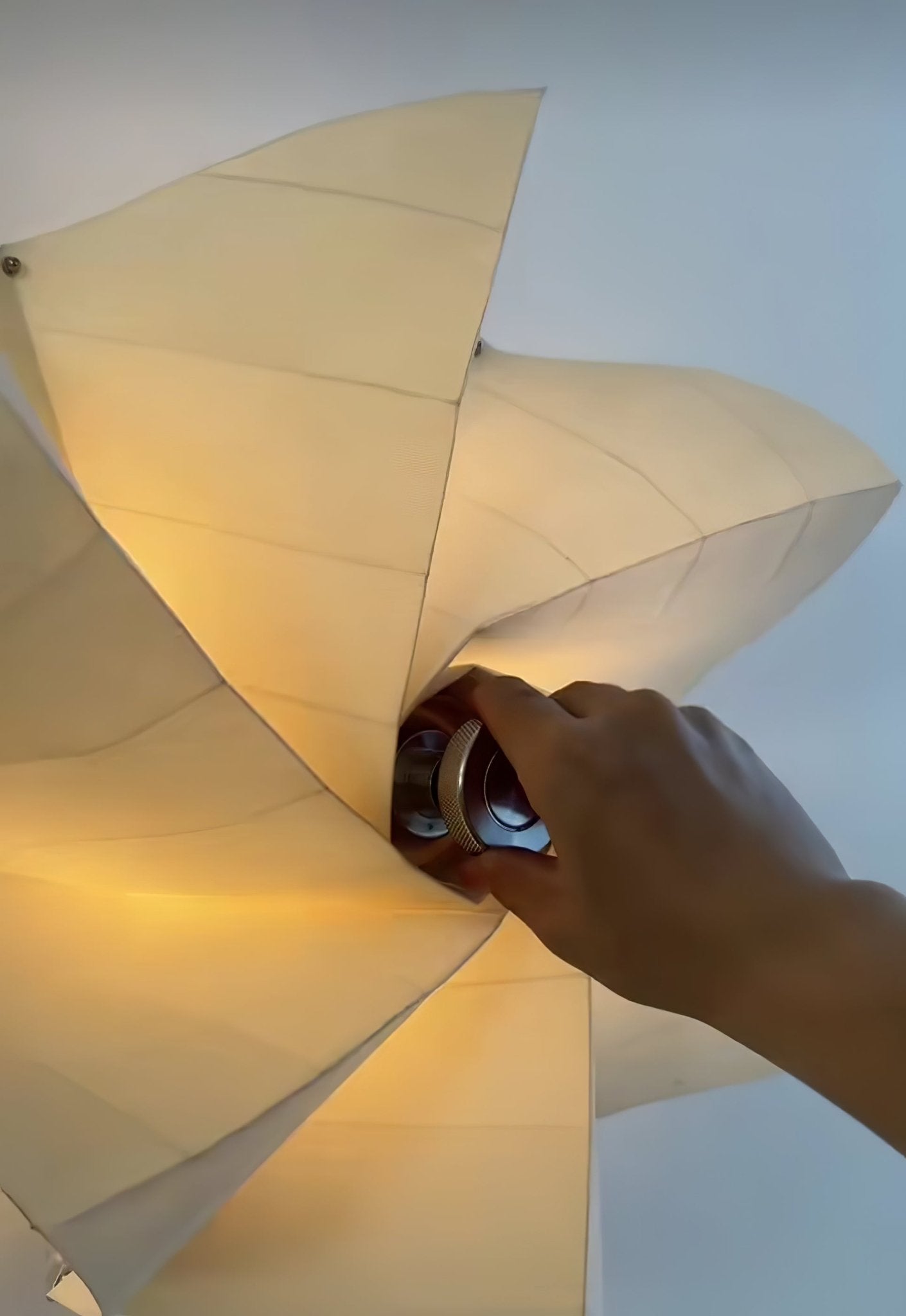 Bloom Petals Wall Lamp