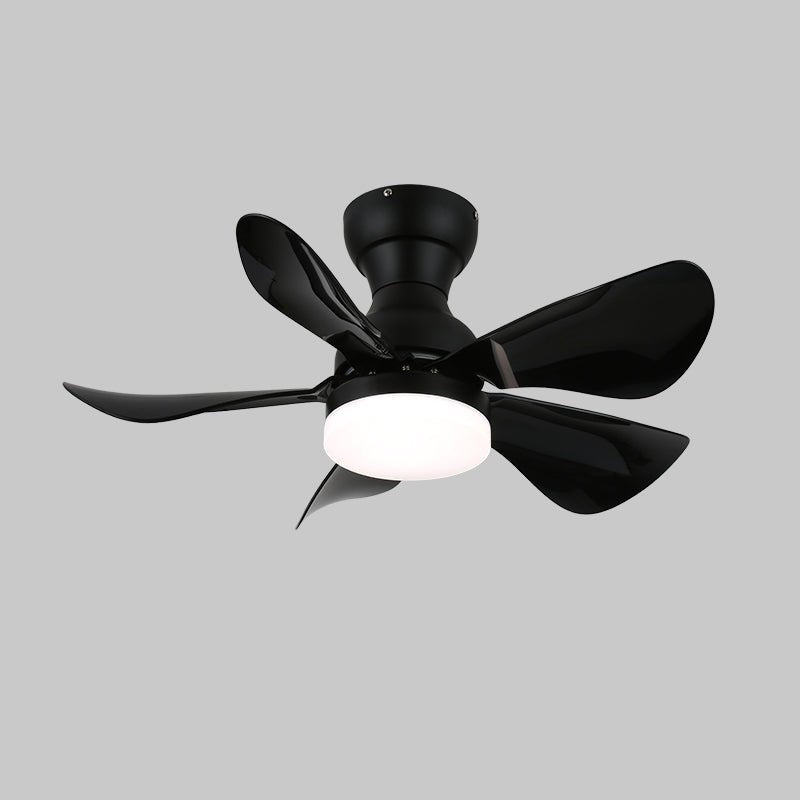 Small Arilia 29" Overhead fixture Ceiling Fan Light