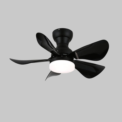 Small Arilia 29" Overhead fixture Ceiling Fan Light