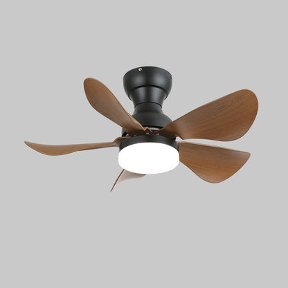 Small Arilia 29" Overhead fixture Ceiling Fan Light