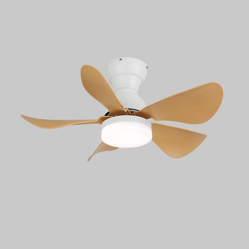 Small Arilia 29" Overhead fixture Ceiling Fan Light