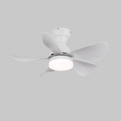 Small Arilia 29" Overhead fixture Ceiling Fan Light