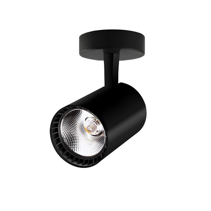 Calla Beam Spotlight